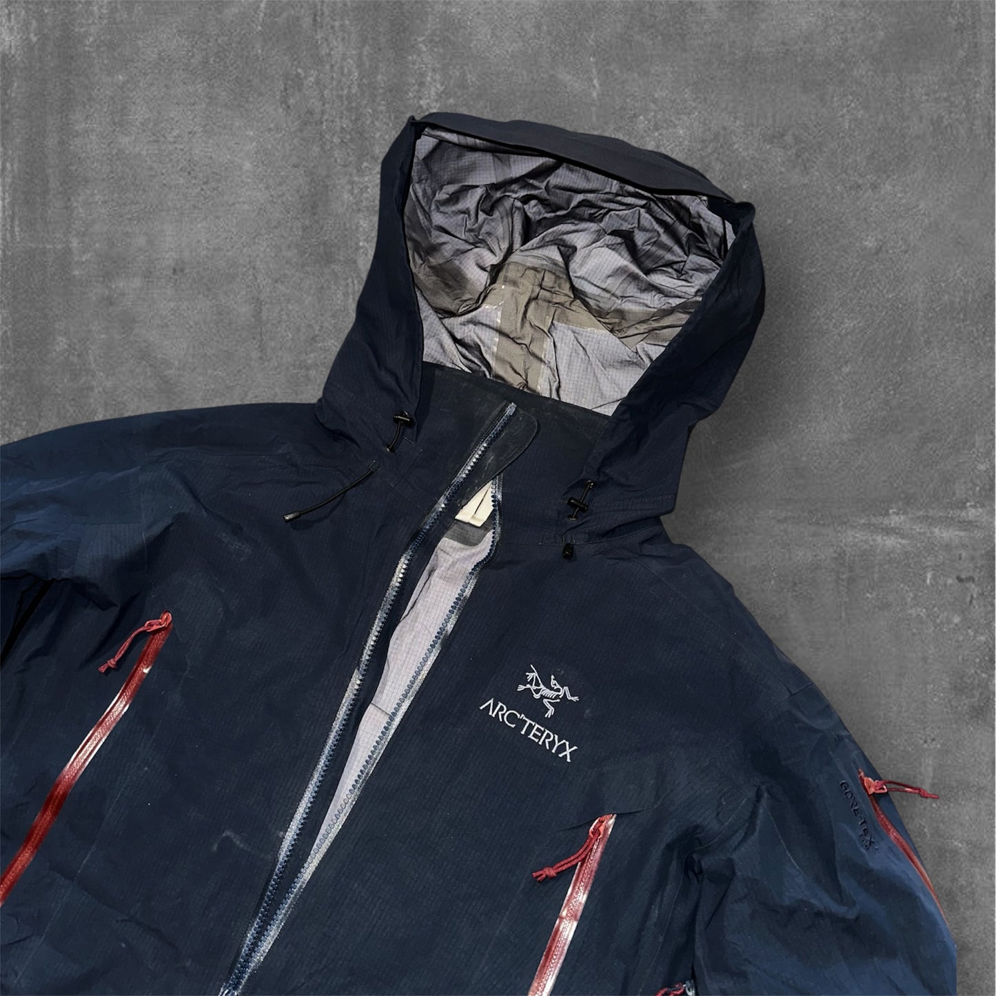 Arcteryx Thera AR Gore-Tex Pro Jacket