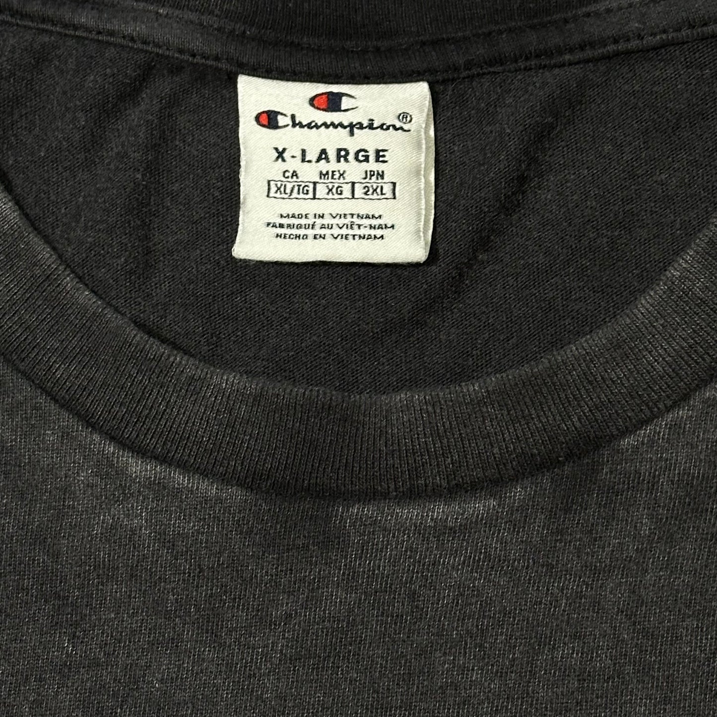 Champion Washed tee