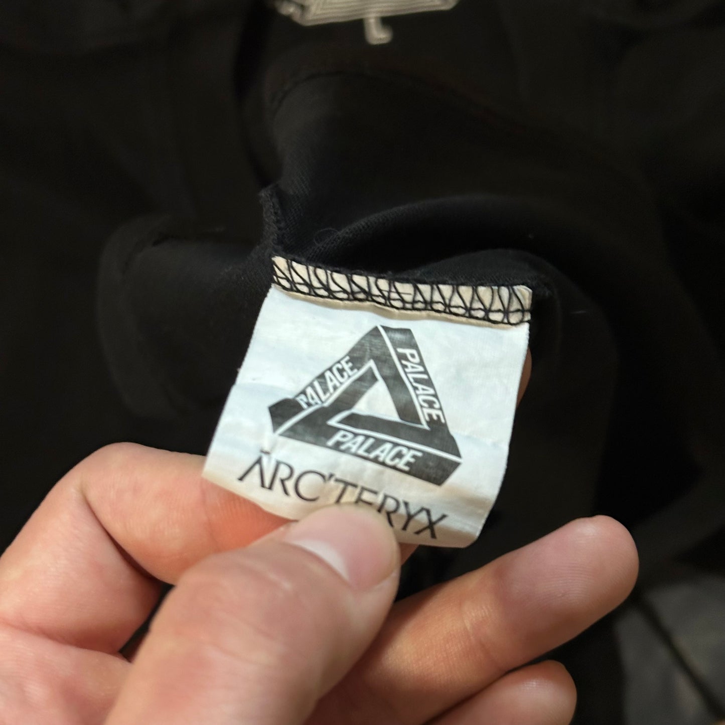 Palace x Arcteryx Tee