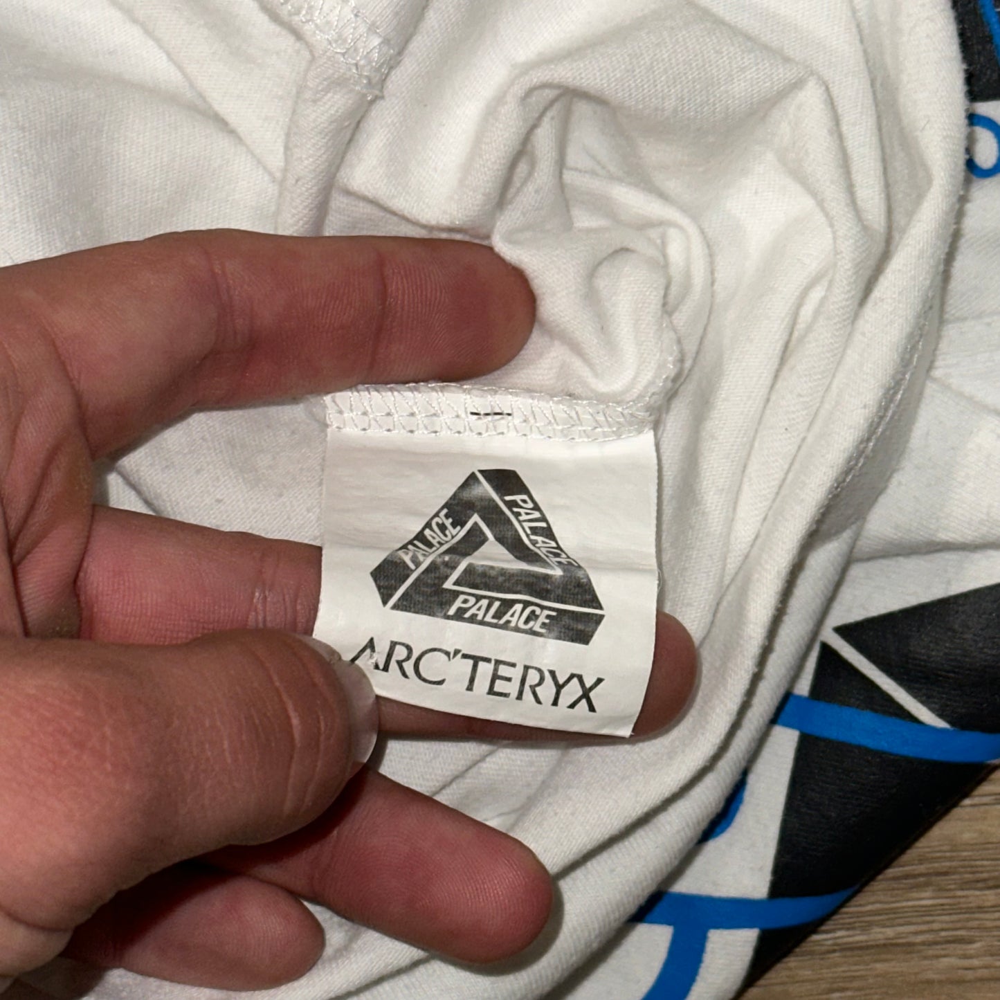 Palace X Arcteryx tee