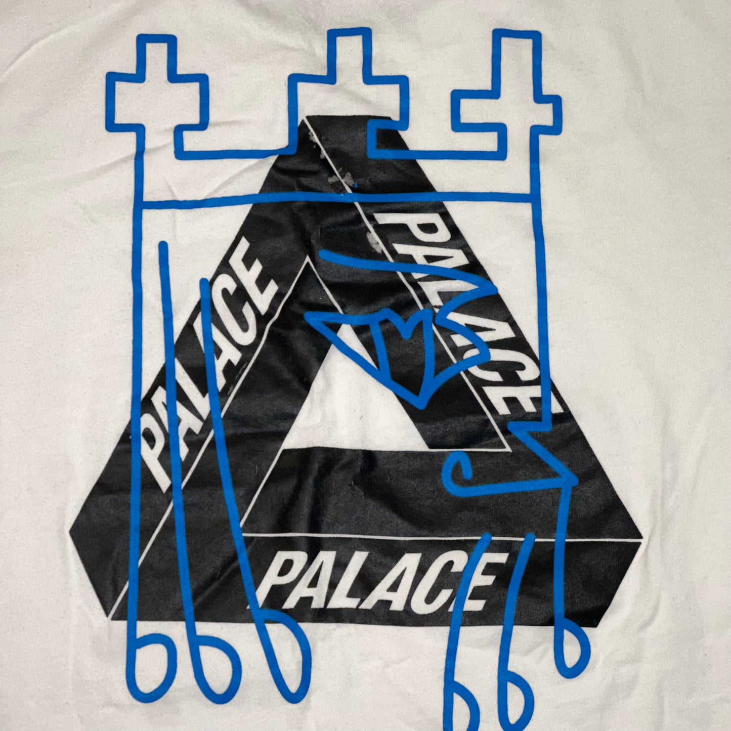 Palace X Arcteryx tee