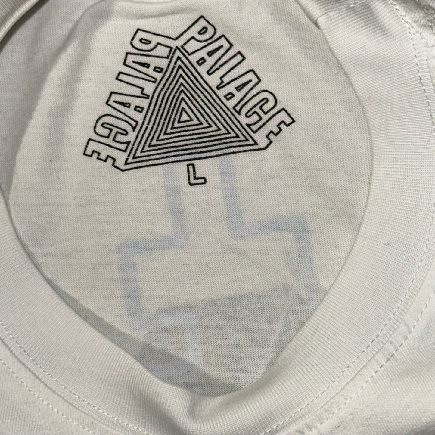 Palace X Arcteryx tee