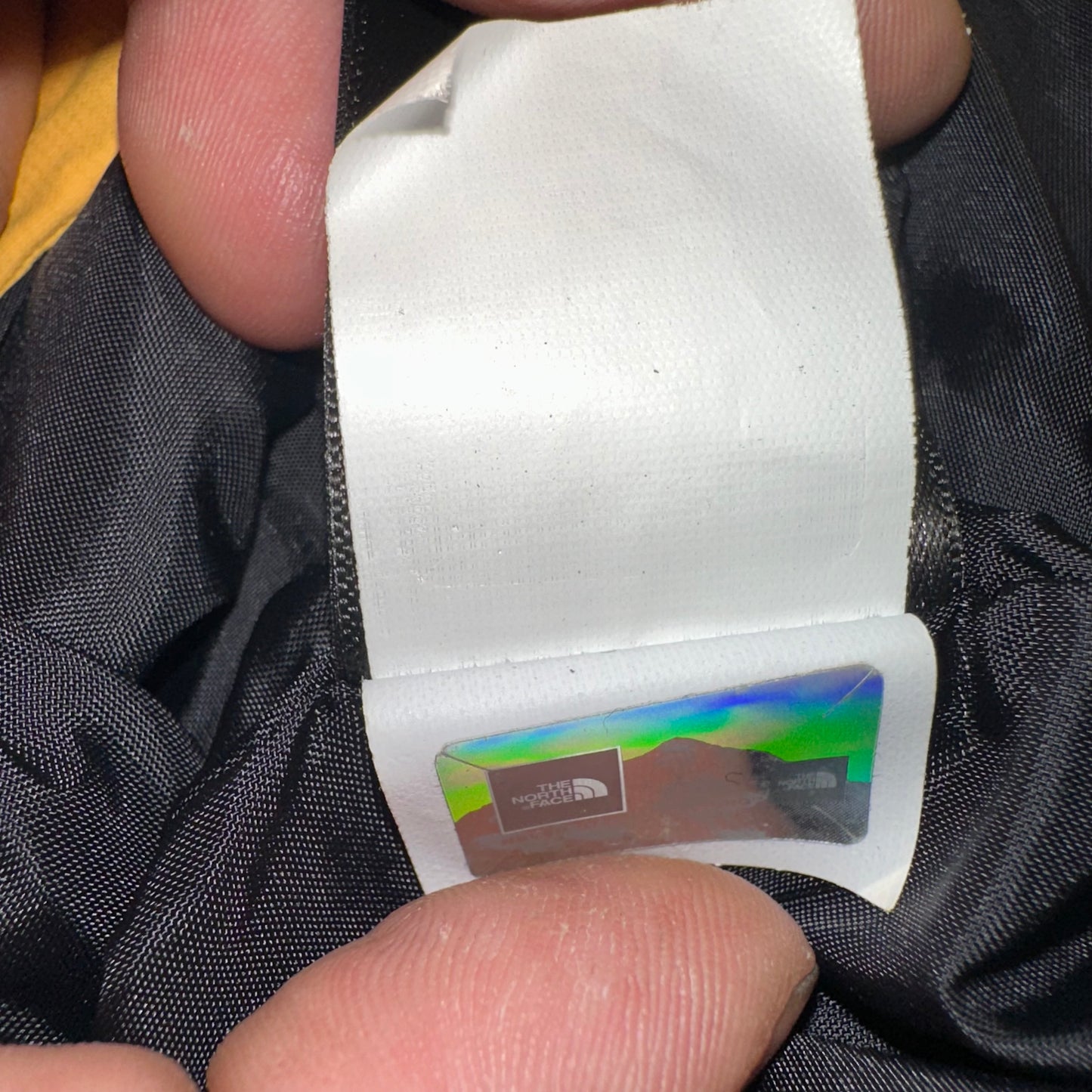 The North Face DryVent Windbreaker