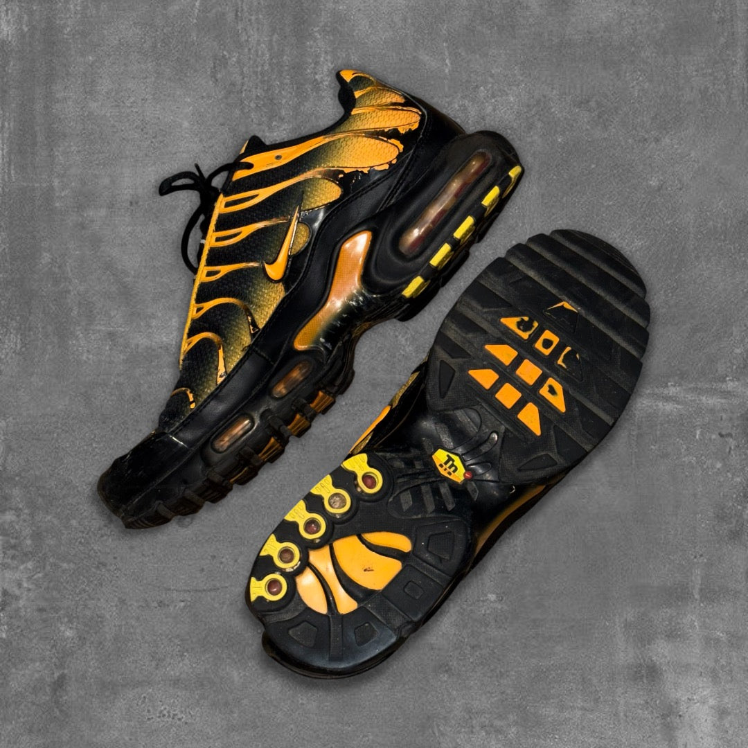 Nike Air Max TN Sneakers [44]