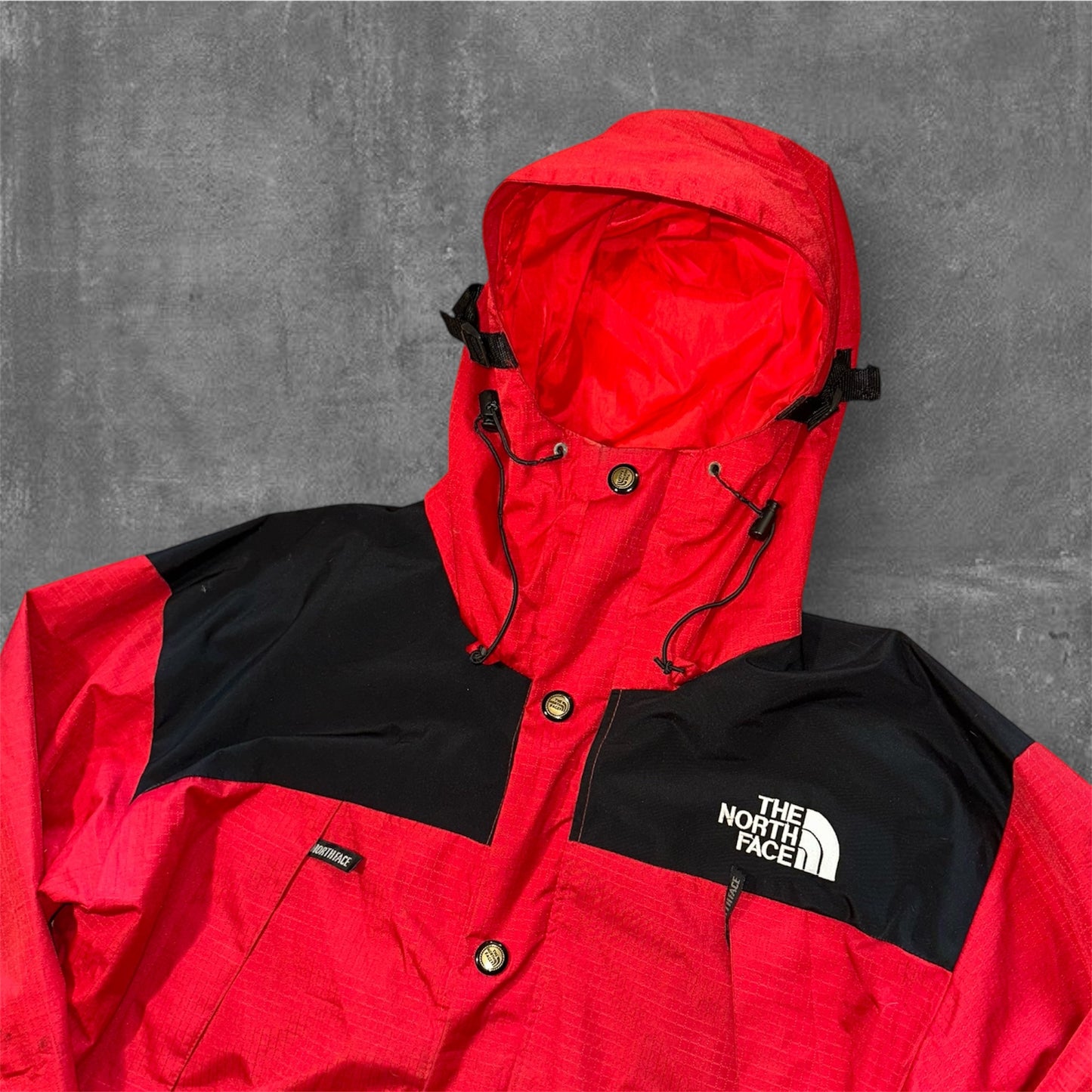 The North Face Gore-Tex Gorpcore Jacket