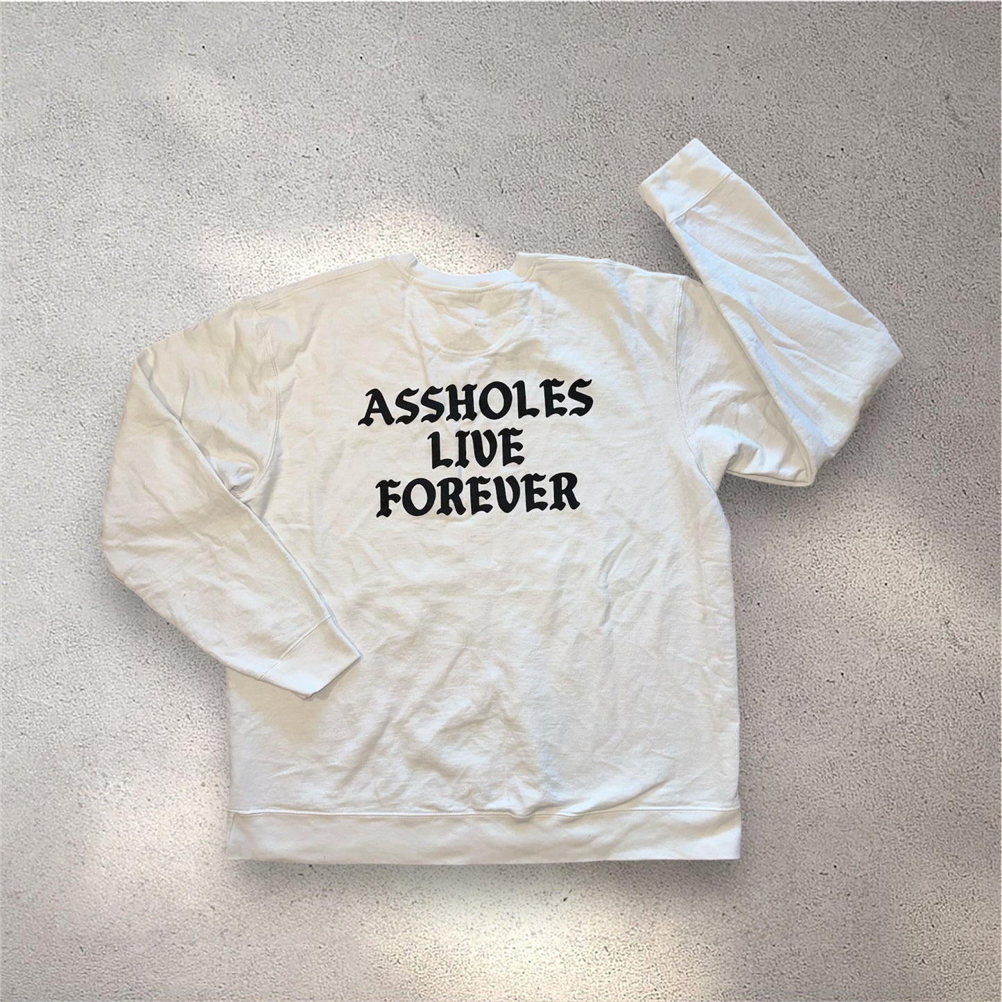 Assholes Live Forever sweater