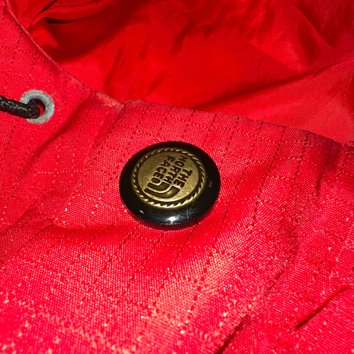 The North Face Gore-Tex Gorpcore Jacket