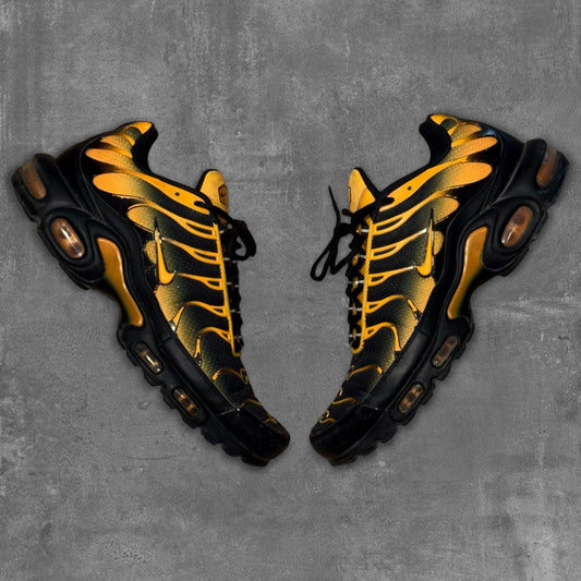 Nike Air Max TN Sneakers [44]