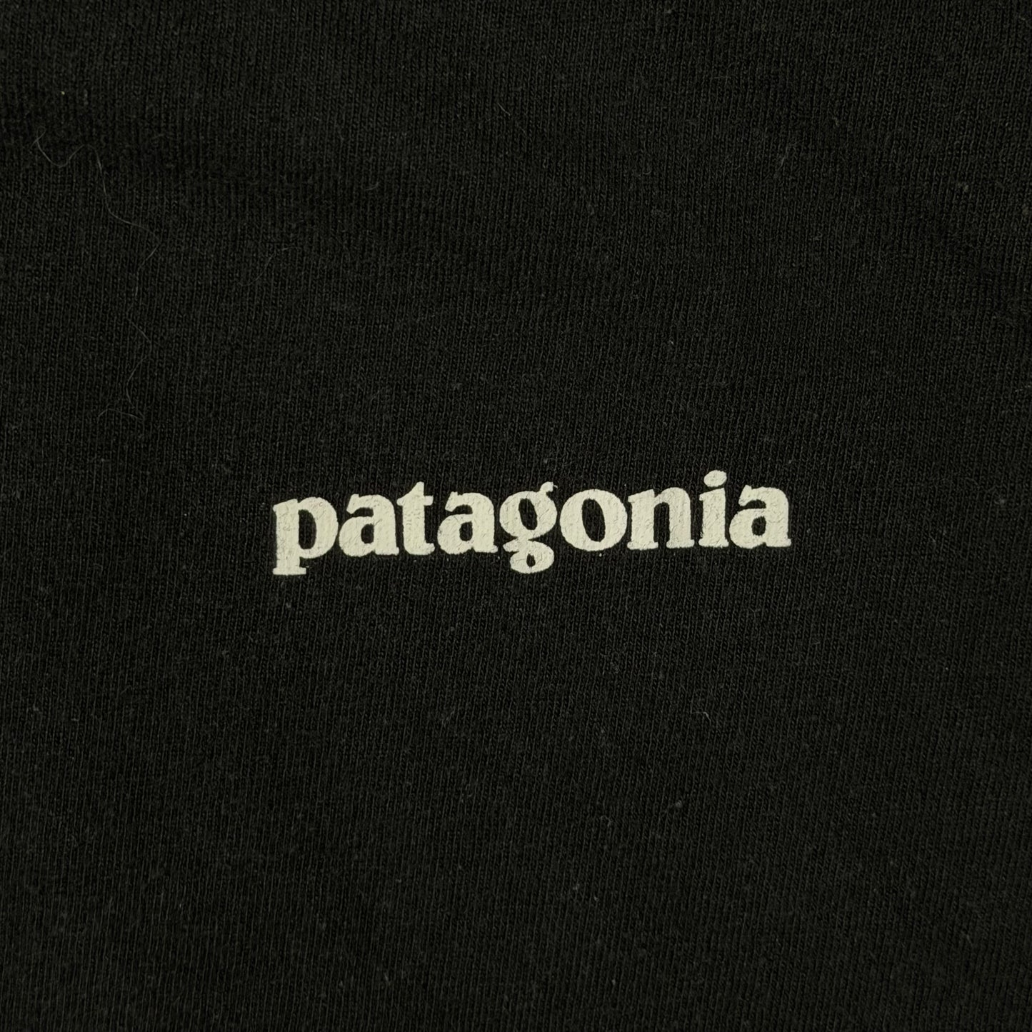 Patagonia Oversized Tee