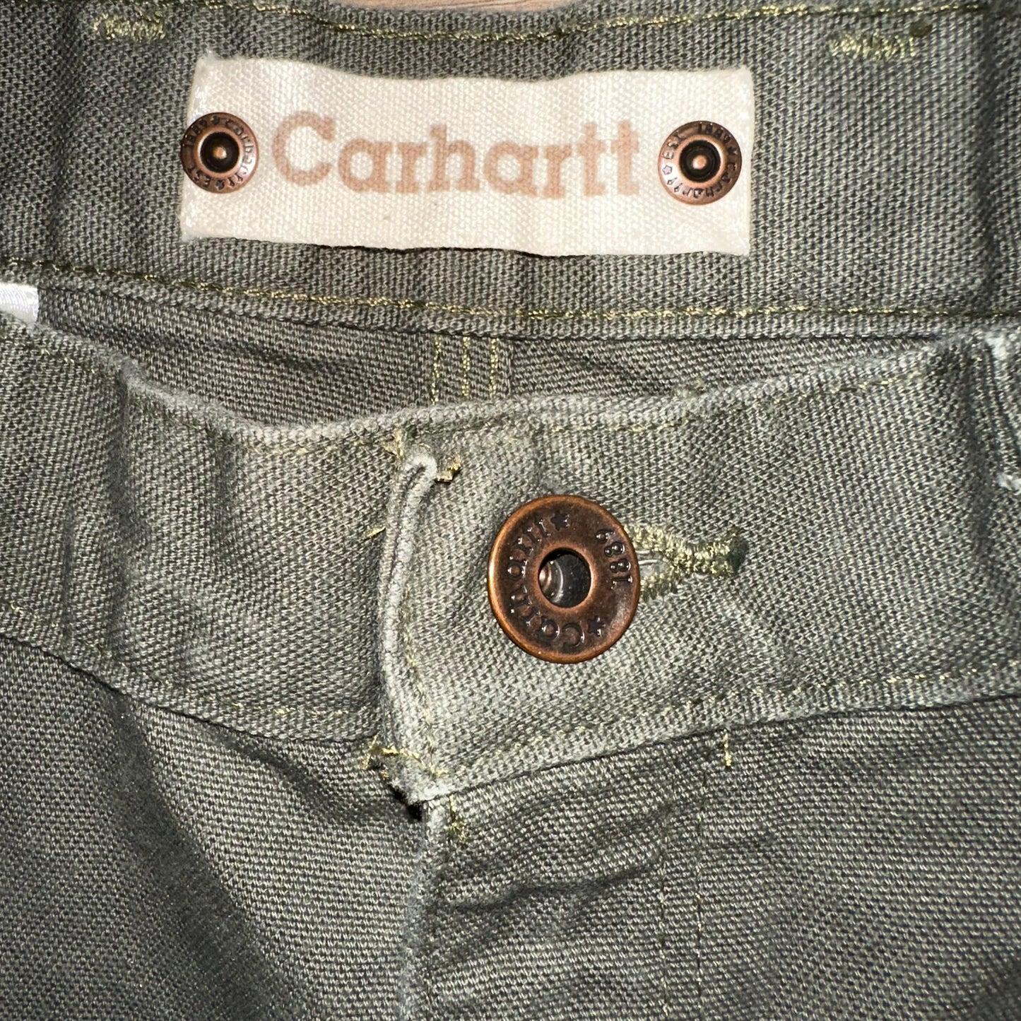 Carhartt Heavy Double knee Pants