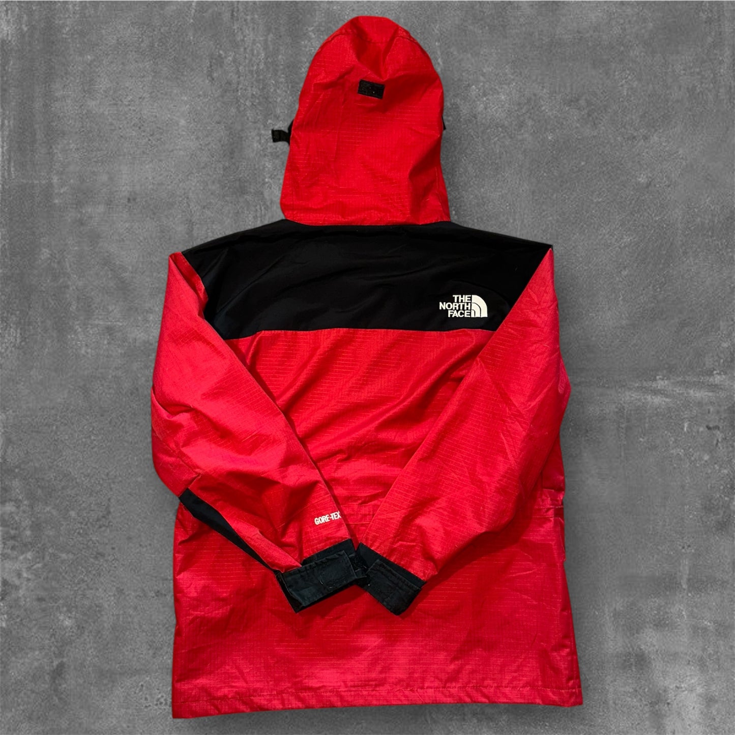 The North Face Gore-Tex Gorpcore Jacket