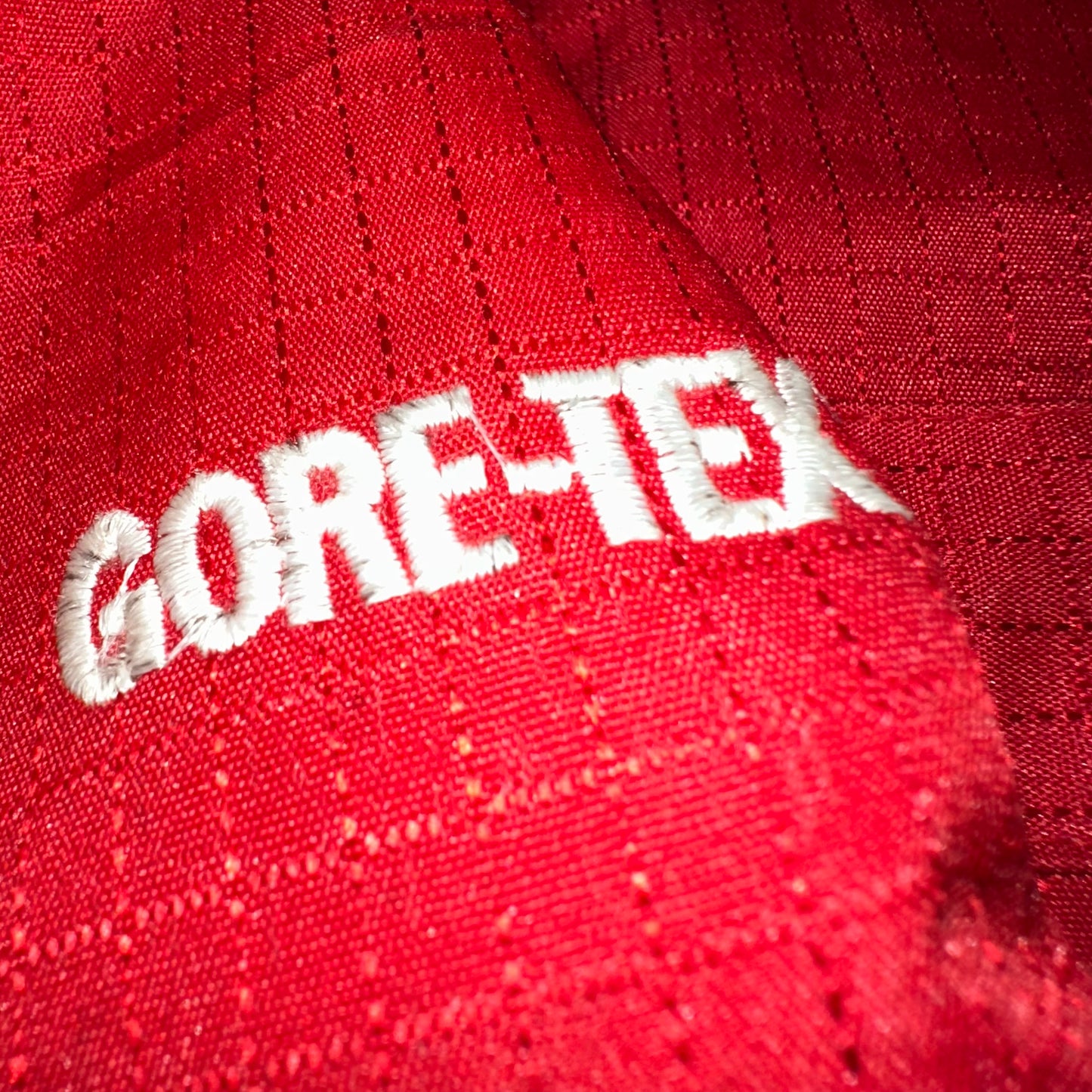 The North Face Gore-Tex Gorpcore Jacket