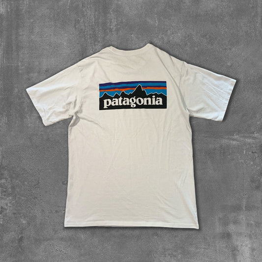Patagonia Tee