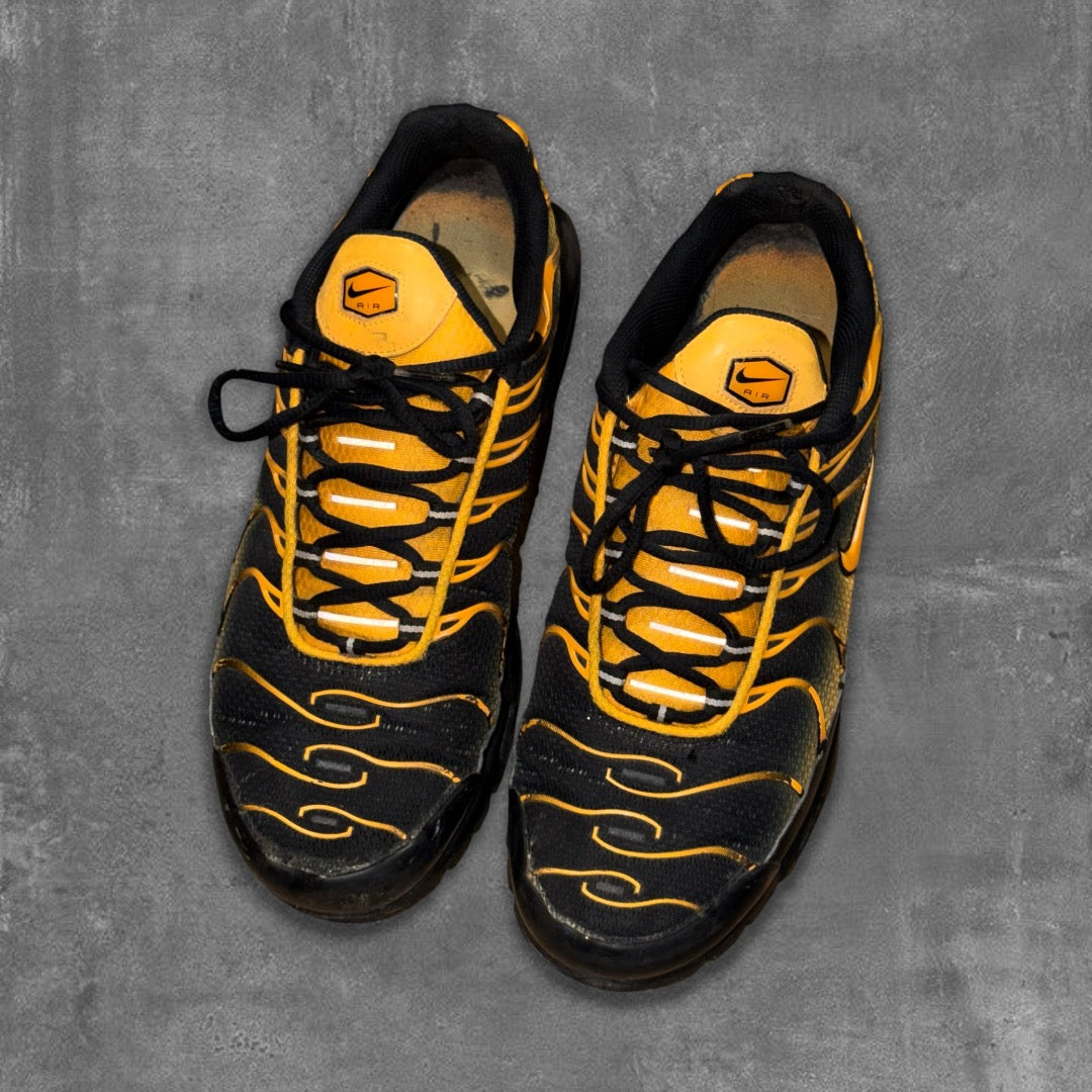 Nike Air Max TN Sneakers [44]