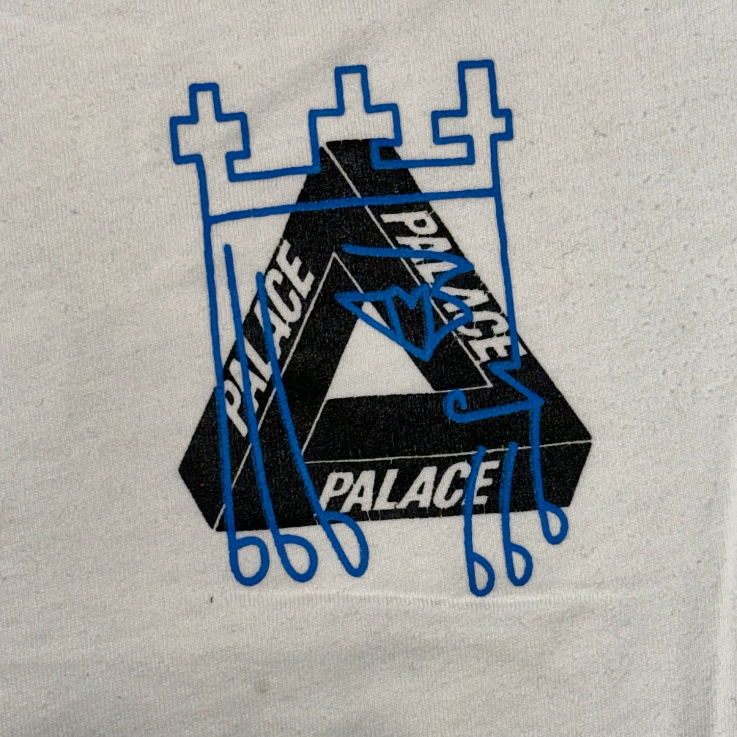 Palace X Arcteryx tee