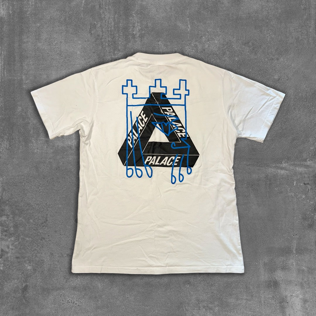 Palace X Arcteryx tee