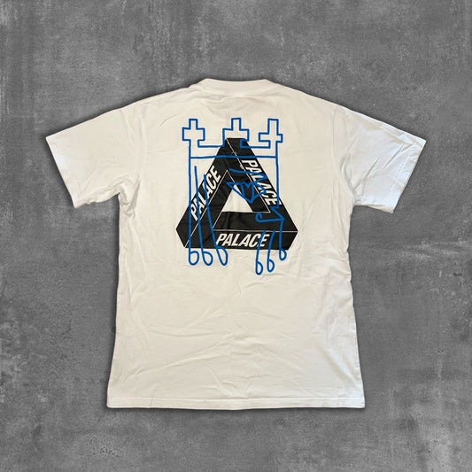 Palace X Arcteryx tee