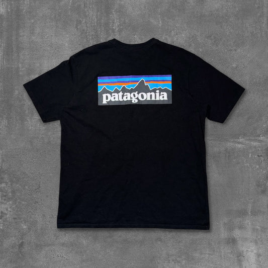Patagonia Oversized Tee