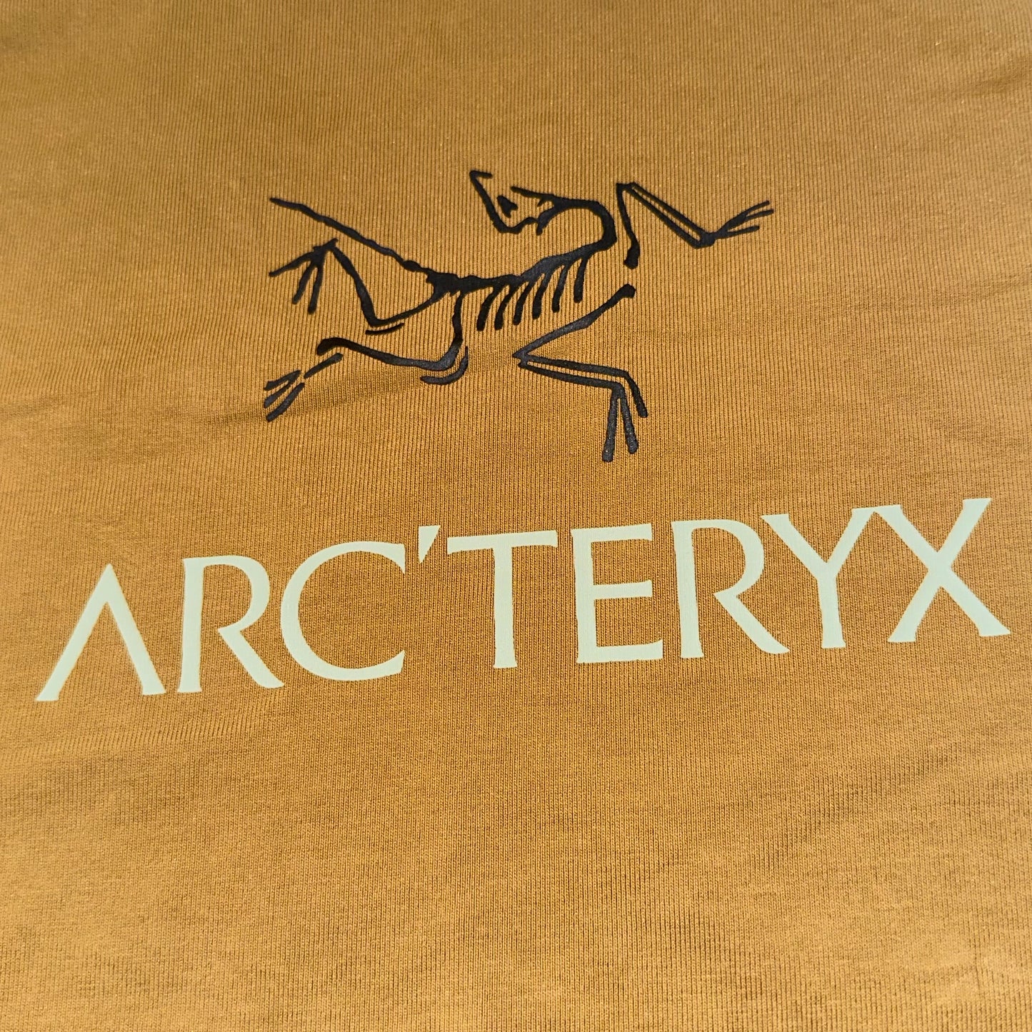 Arc’teryx Long sleeve