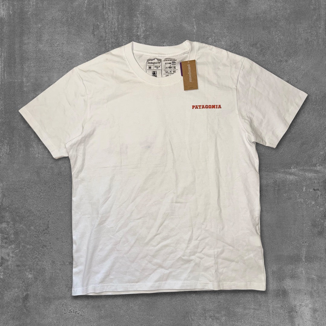 Patagonia Tee