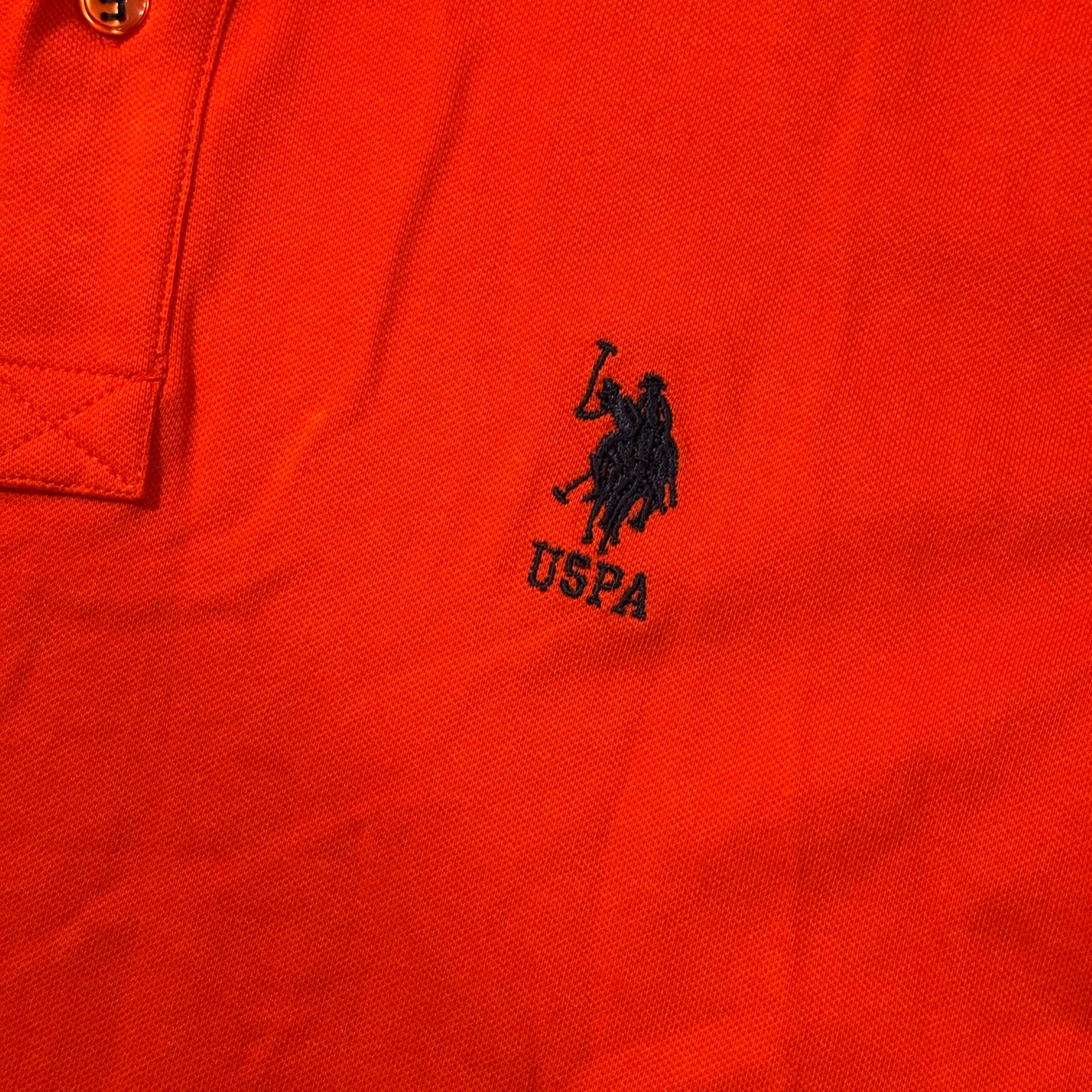 Polo ASSN Tee