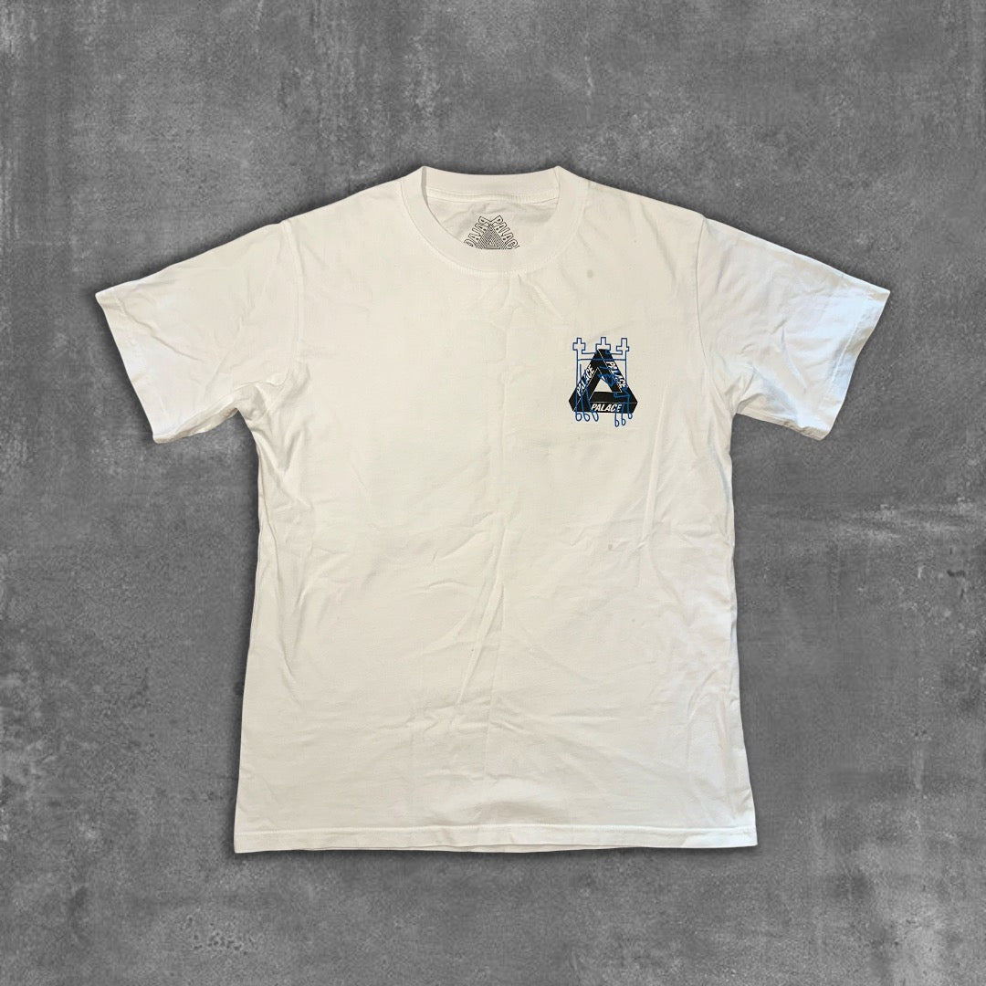 Palace X Arcteryx tee