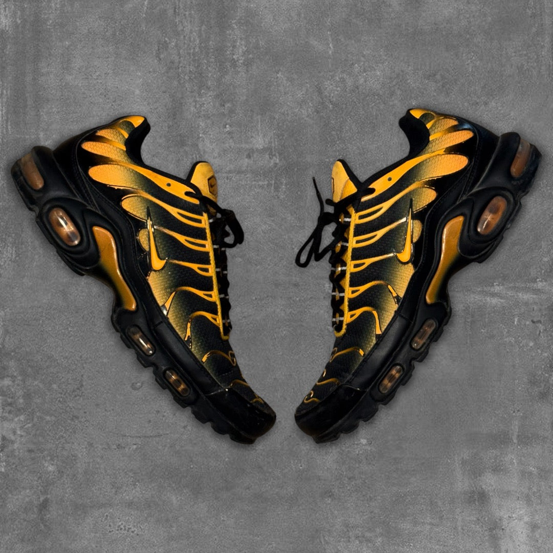 Nike Air Max TN Sneakers [44]