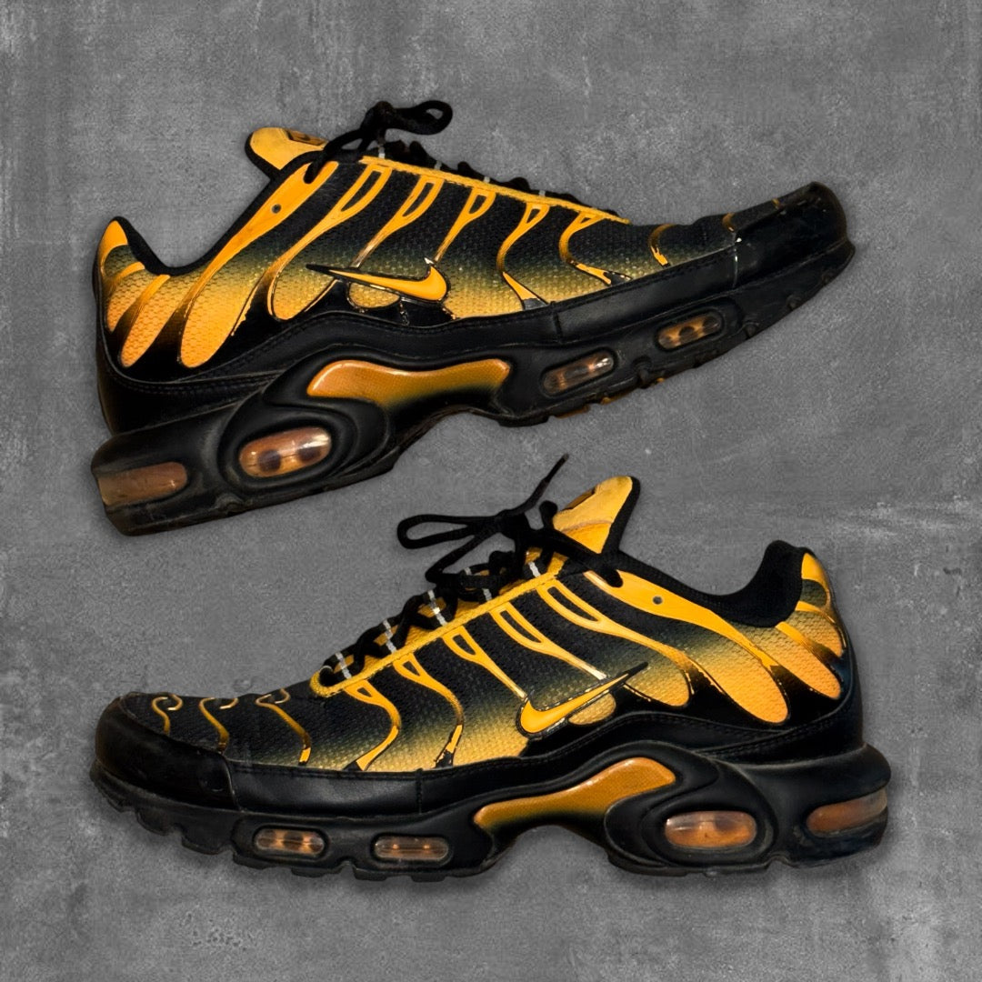 Nike Air Max TN Sneakers [44]