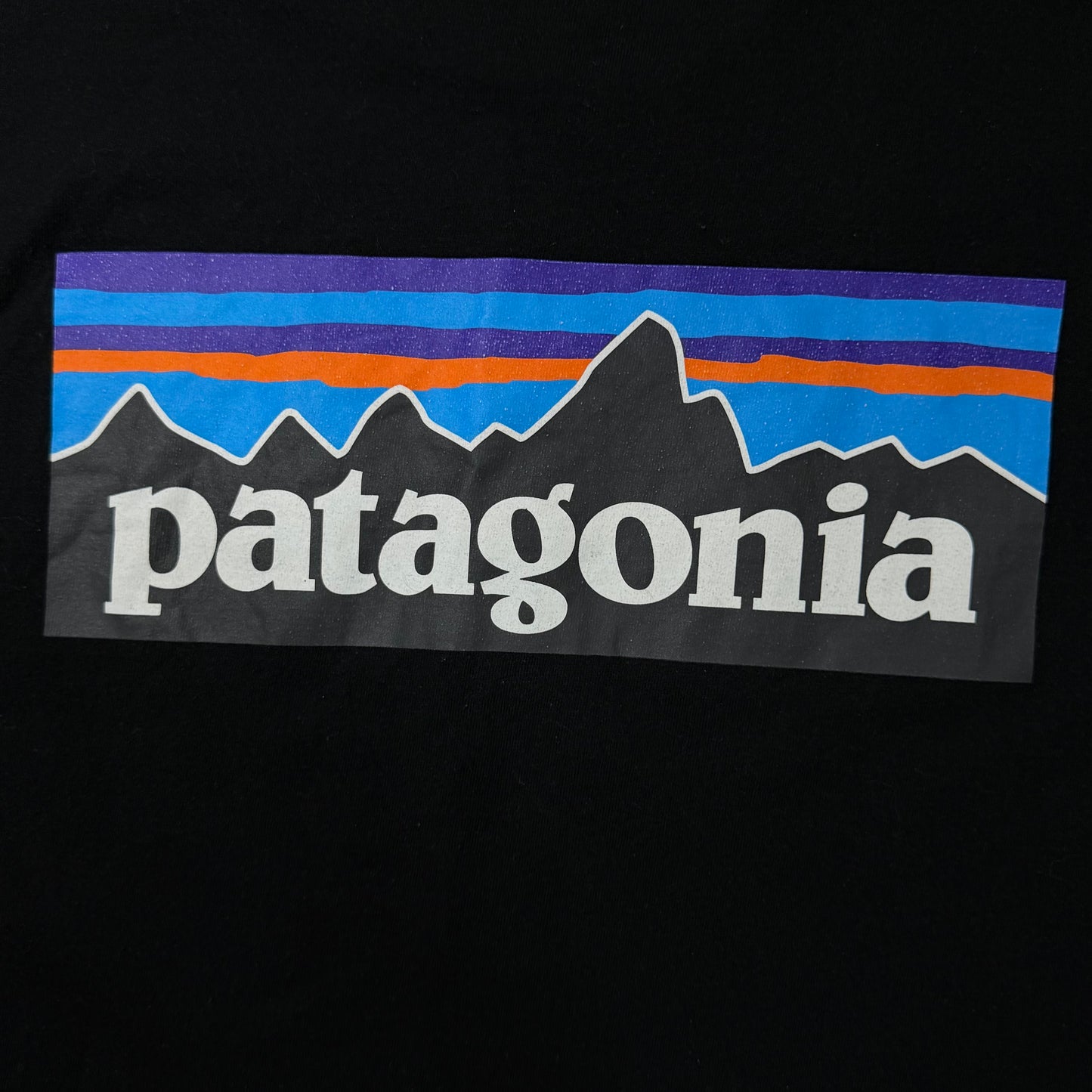 Patagonia Oversized Tee
