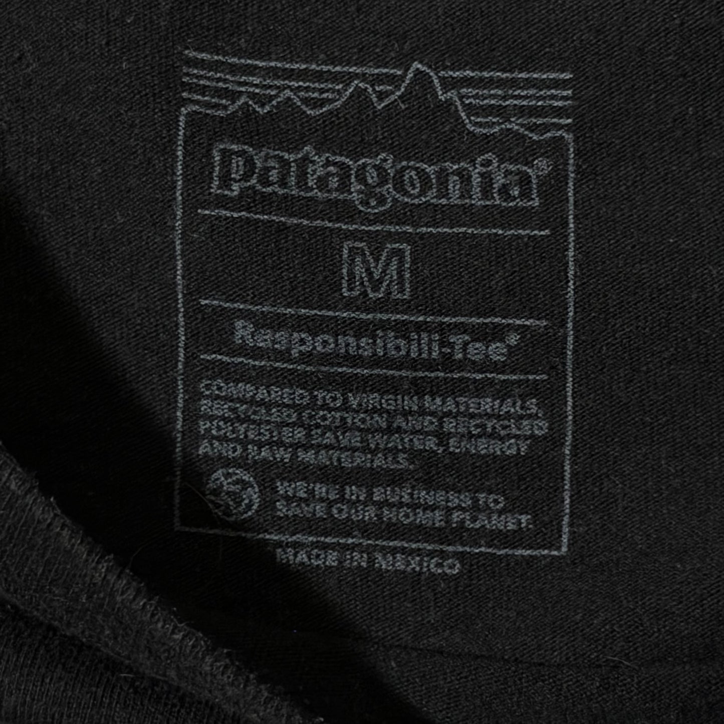 Patagonia Oversized Tee